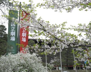桜の名所国立劇場